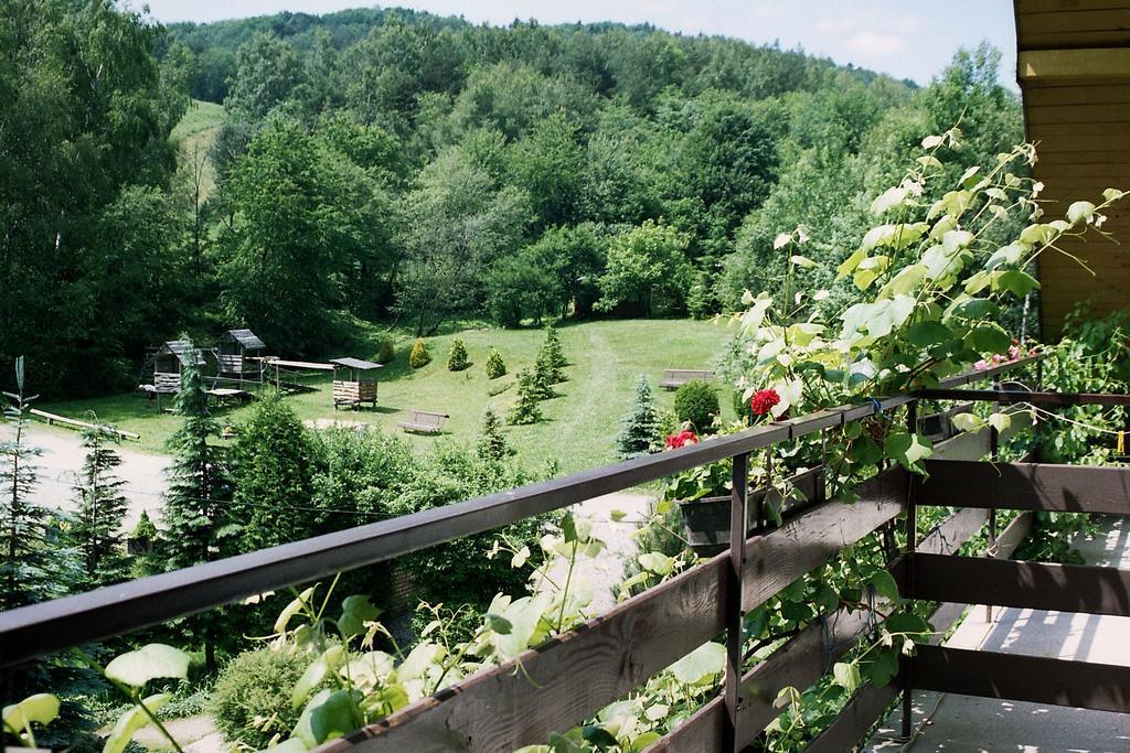Willa Anna Maria Wysowa-Zdrój Exterior foto